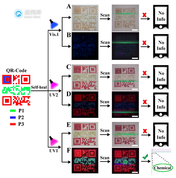 de89acc0e4884ea191f113e2018b7f2b.png 陈建2.png