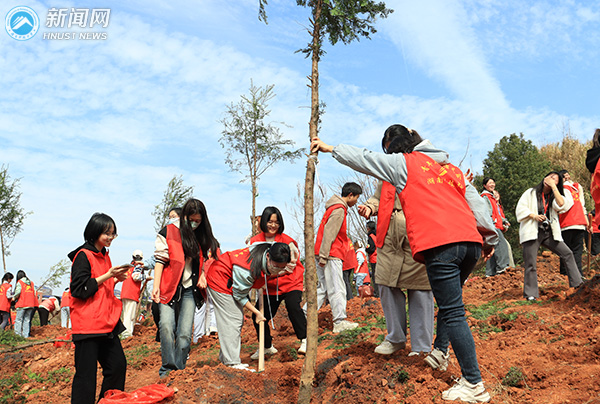 62a4503f00a444439a02ad34c1986d33.jpg 红豆杉4.jpg