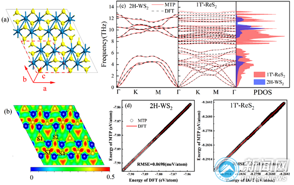 e87aafdc6da140599e6a197840e643f6.png 杨肖2.png